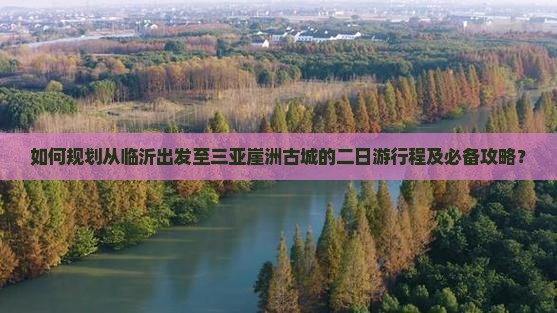 如何规划从临沂出发至三亚崖洲古城的二日游行程及必备攻略？