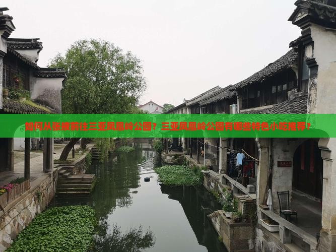 如何从张掖前往三亚凤凰岭公园？三亚凤凰岭公园有哪些特色小吃推荐？
