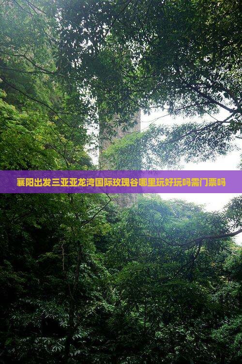 襄阳出发三亚亚龙湾国际玫瑰谷哪里玩好玩吗需门票吗