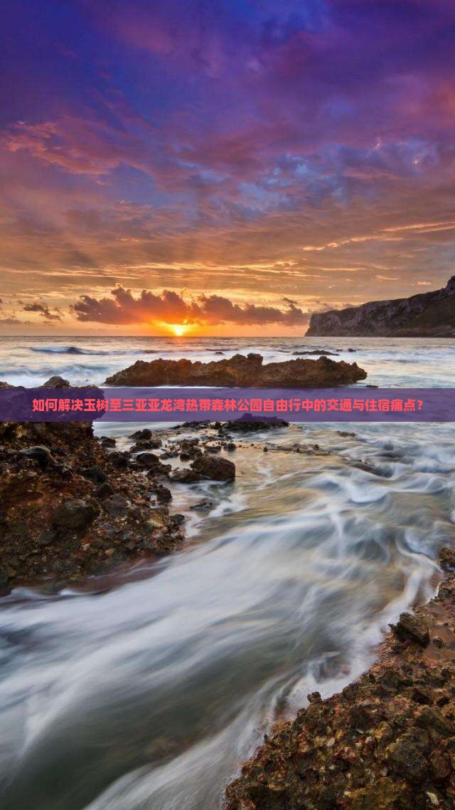 如何解决玉树至三亚亚龙湾热带森林公园自由行中的交通与住宿痛点？