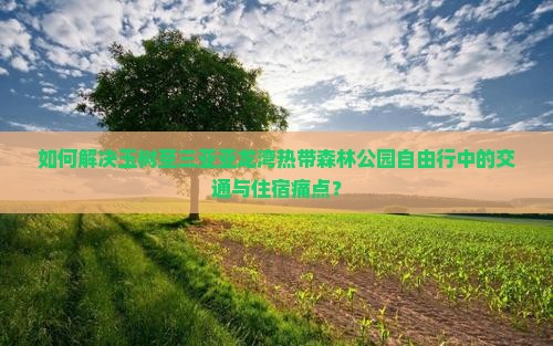 如何解决玉树至三亚亚龙湾热带森林公园自由行中的交通与住宿痛点？