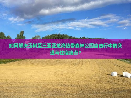 如何解决玉树至三亚亚龙湾热带森林公园自由行中的交通与住宿痛点？