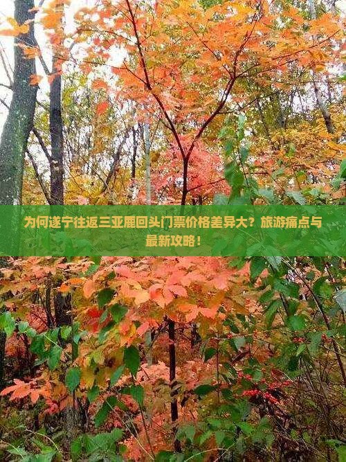 为何遂宁往返三亚鹿回头门票价格差异大？旅游痛点与最新攻略！