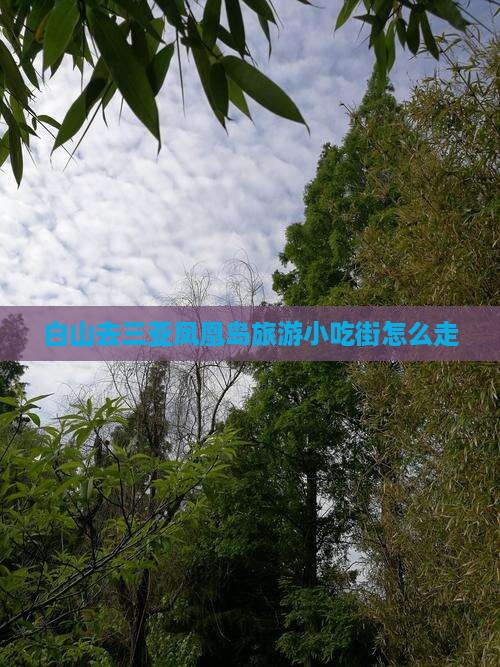 白山去三亚凤凰岛旅游小吃街怎么走