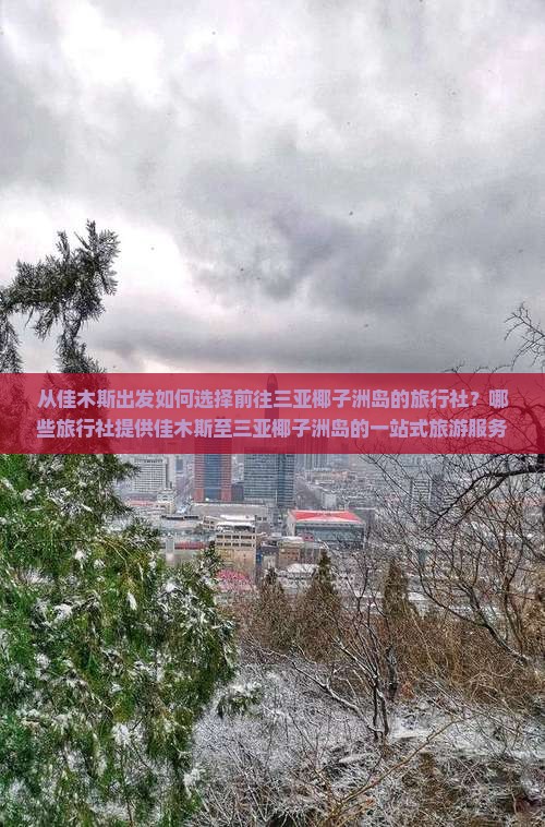 从佳木斯出发如何选择前往三亚椰子洲岛的旅行社？哪些旅行社提供佳木斯至三亚椰子洲岛的一站式旅游服务？