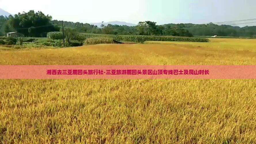 湘西去三亚鹿回头旅行社-三亚旅游鹿回头景区山顶专线巴士及爬山时长
