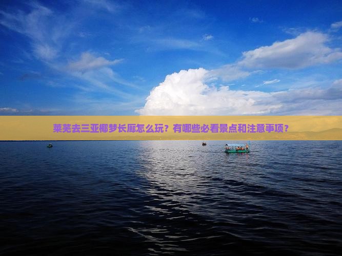 莱芜去三亚椰梦长廊怎么玩？有哪些必看景点和注意事项？