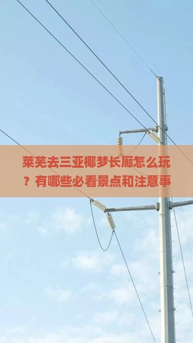 莱芜去三亚椰梦长廊怎么玩？有哪些必看景点和注意事项？