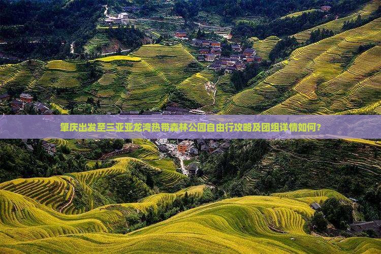 肇庆出发至三亚亚龙湾热带森林公园自由行攻略及团组详情如何？