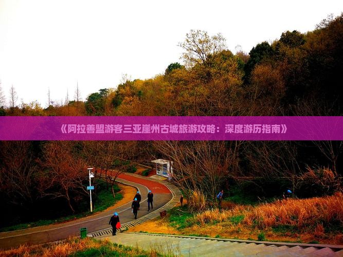 《阿拉善盟游客三亚崖州古城旅游攻略：深度游历指南》