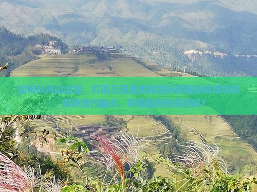 如何从舟山出发，打造三亚亚龙湾国际玫瑰谷畅游攻略，解决旅行痛点，掌握最新热词新词？