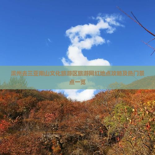 滨州去三亚南山文化旅游区旅游网红地点攻略及热门景点一览
