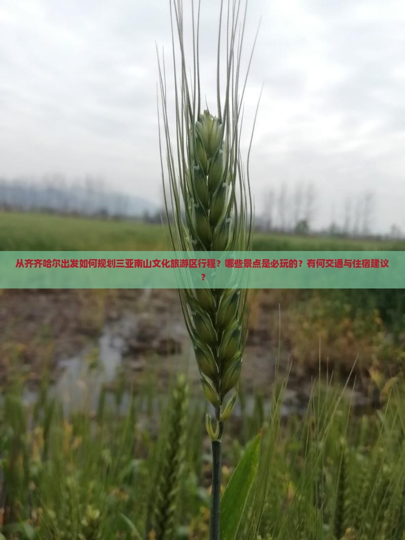 从齐齐哈尔出发如何规划三亚南山文化旅游区行程？哪些景点是必玩的？有何交通与住宿建议？