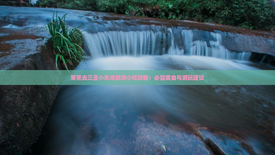 莱芜去三亚小东海旅游小吃攻略：必尝美食与游玩建议