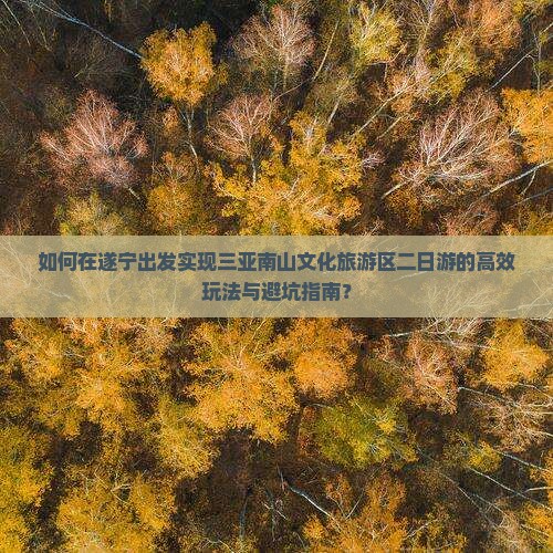 如何在遂宁出发实现三亚南山文化旅游区二日游的高效玩法与避坑指南？