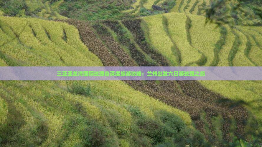 三亚亚龙湾国际玫瑰谷深度旅游攻略：兰州出发六日游玫瑰之旅