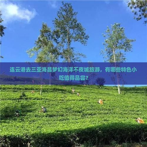 连云港去三亚海昌梦幻海洋不夜城旅游，有哪些特色小吃值得品尝？