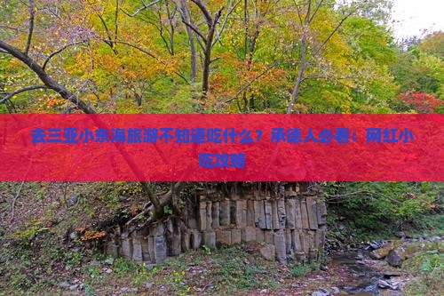 去三亚小东海旅游不知道吃什么？承德人必看：网红小吃攻略