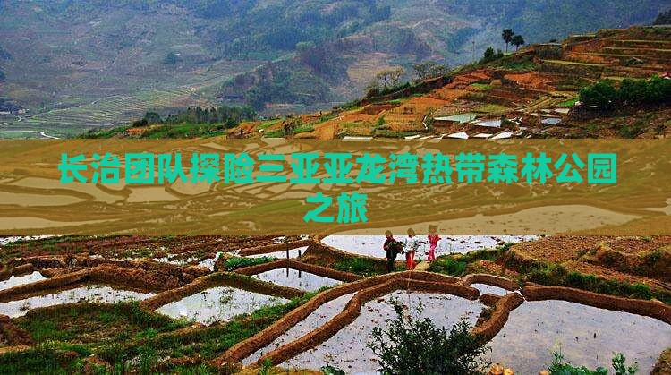 长治团队探险三亚亚龙湾热带森林公园之旅