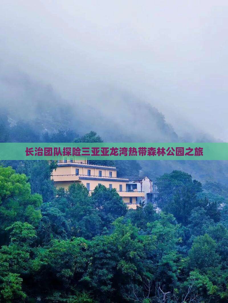 长治团队探险三亚亚龙湾热带森林公园之旅