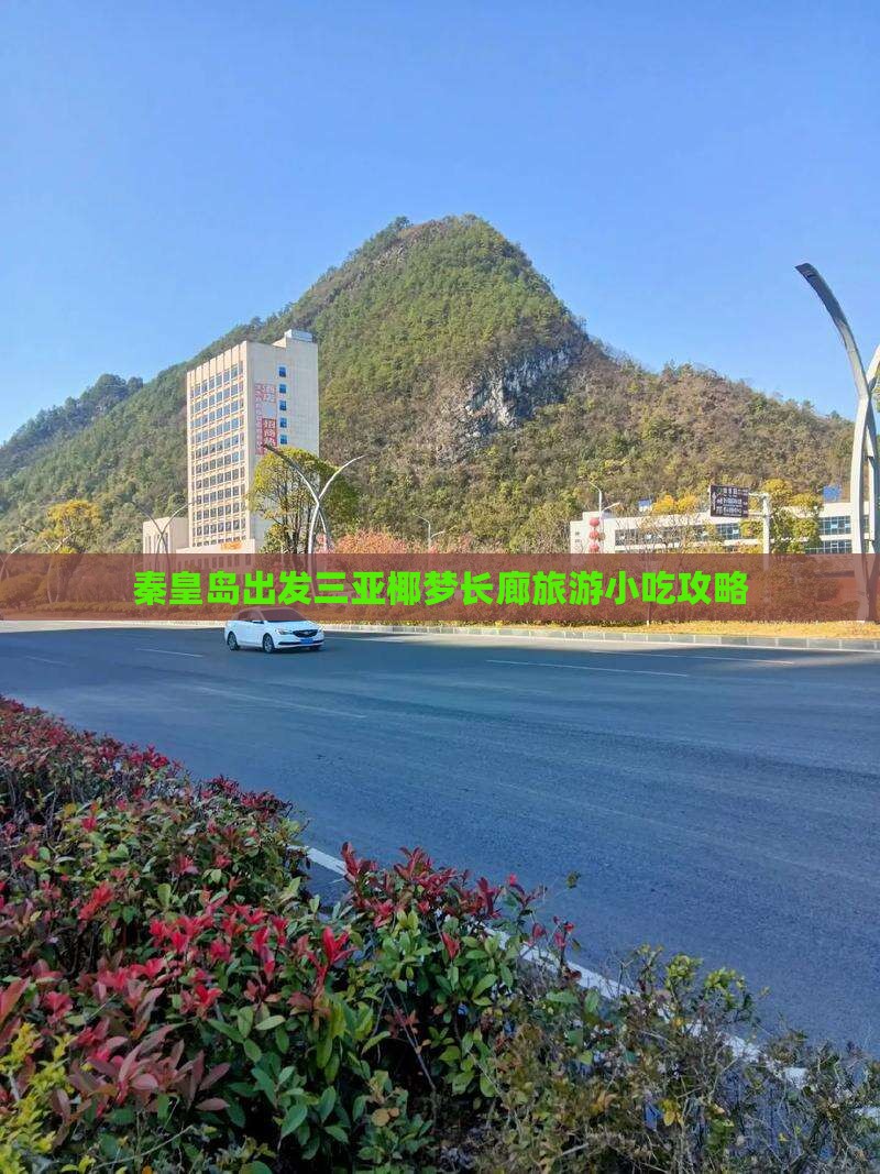 秦皇岛出发三亚椰梦长廊旅游小吃攻略