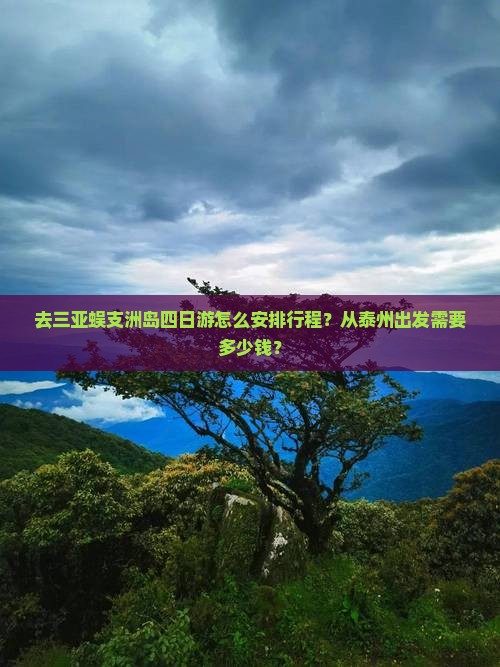 去三亚蜈支洲岛四日游怎么安排行程？从泰州出发需要多少钱？