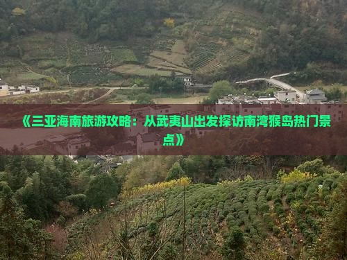 《三亚海南旅游攻略：从武夷山出发探访南湾猴岛热门景点》