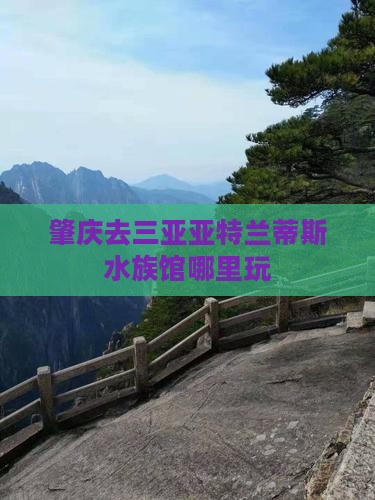 肇庆去三亚亚特兰蒂斯水族馆哪里玩