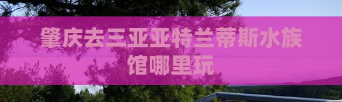 肇庆去三亚亚特兰蒂斯水族馆哪里玩