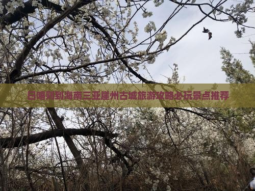 日喀则到海南三亚崖州古城旅游攻略必玩景点推荐