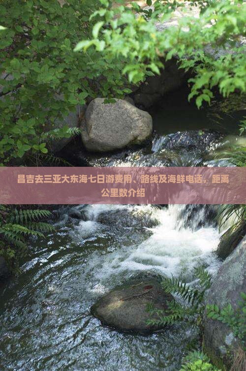昌吉去三亚大东海七日游费用、路线及海鲜电话，距离公里数介绍