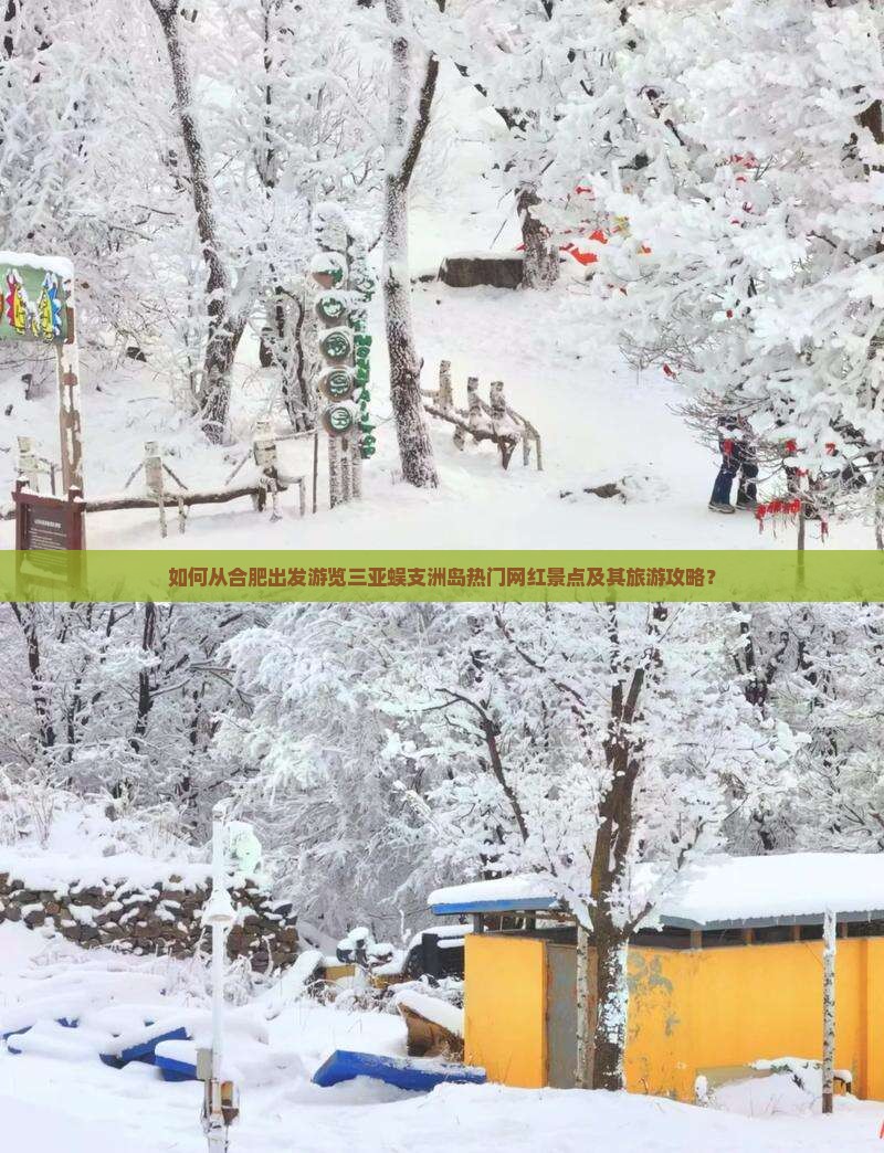 如何从合肥出发游览三亚蜈支洲岛热门网红景点及其旅游攻略？