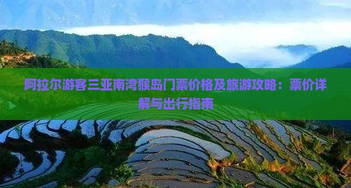 阿拉尔游客三亚南湾猴岛门票价格及旅游攻略：票价详解与出行指南