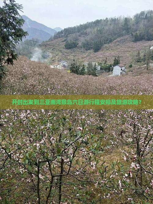 开封出发到三亚南湾猴岛六日游行程安排及旅游攻略？