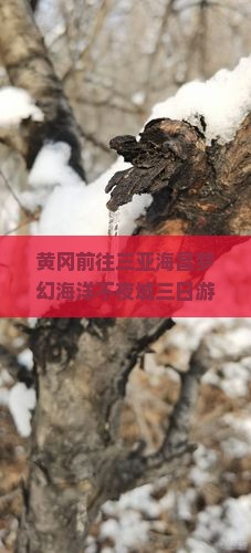 黄冈前往三亚海昌梦幻海洋不夜城三日游：游玩攻略、门票价格及附近酒店推荐