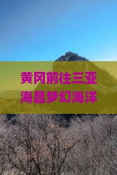 黄冈前往三亚海昌梦幻海洋不夜城三日游：游玩攻略、门票价格及附近酒店推荐