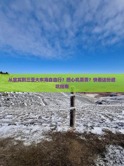 从宜宾到三亚大东海自由行？担心机票贵？快看这份避坑指南
