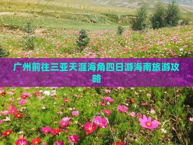 广州前往三亚天涯海角四日游海南旅游攻略