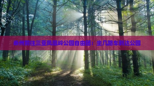泰州前往三亚凤凰岭公园自由团：坐几路车到达公园