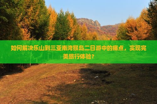 如何解决乐山到三亚南湾猴岛二日游中的痛点，实现完美旅行体验？