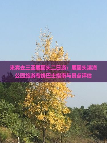 来宾去三亚鹿回头二日游：鹿回头滨海公园旅游专线巴士指南与景点评估