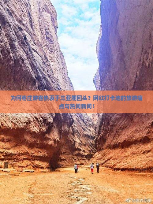 为何枣庄游客热衷于三亚鹿回头？网红打卡地的旅游痛点与热词新词！