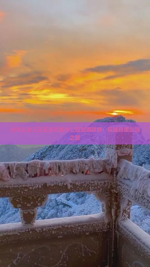 金华出发三亚亚龙湾森林公园旅游攻略：探秘热带公园之旅
