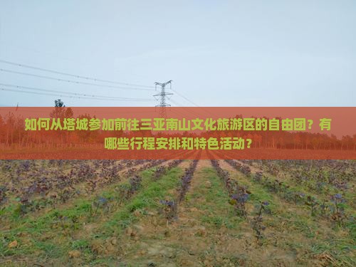 如何从塔城参加前往三亚南山文化旅游区的自由团？有哪些行程安排和特色活动？