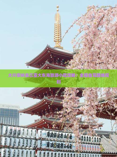 大兴安岭去三亚大东海旅游小吃攻略：全程自驾路线规划