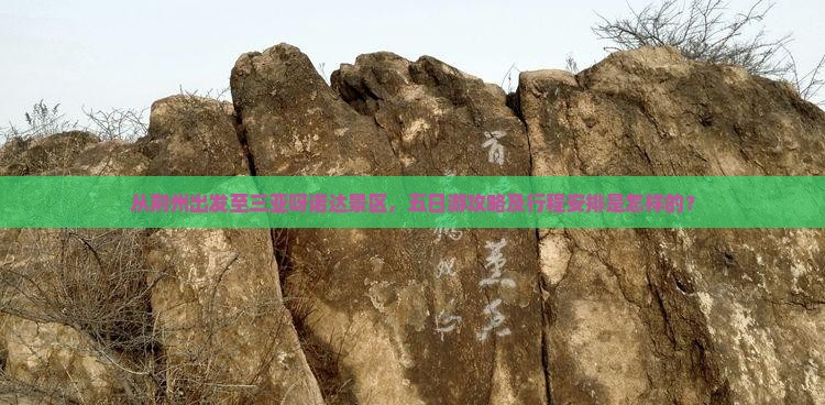 从荆州出发至三亚呀诺达景区，五日游攻略及行程安排是怎样的？