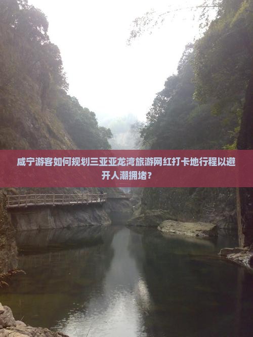 咸宁游客如何规划三亚亚龙湾旅游网红打卡地行程以避开人潮拥堵？