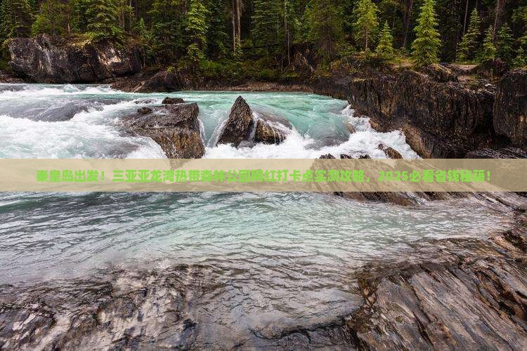 秦皇岛出发三亚亚龙湾热带森林公园旅游网红地点