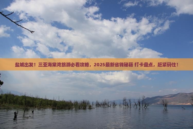 盐城去三亚海棠湾旅游打卡点