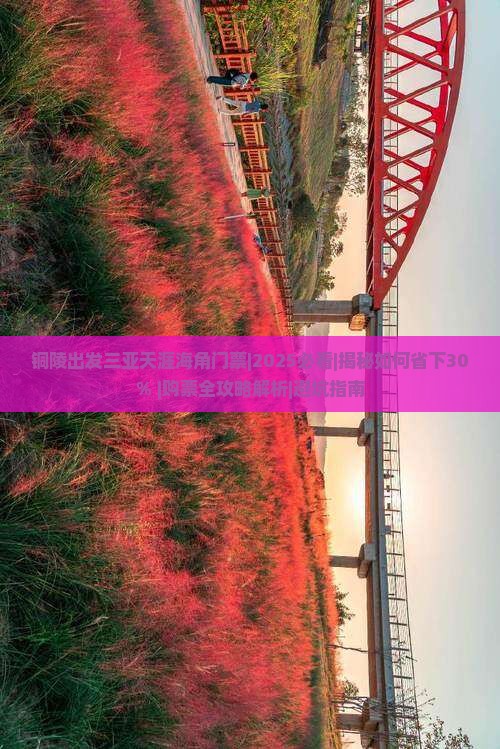 铜陵出发三亚天涯海角门票